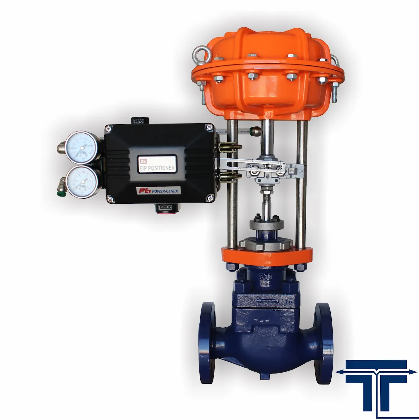 tcv-1.jpg